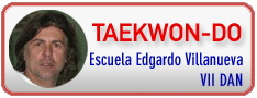 TAEKWONDO