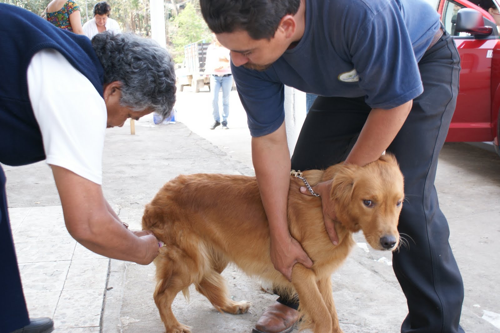 En el marco del Programa de actividades barriales encaradas por el Servicio de Veterinaria municipal, dependiente de la Secretaría de Salud municipal, desde el próximo jueves 26 de octubre se llevará a cabo la Campaña de vacunación antirrábica 2017 que se extenderá hasta fin de año y abarcará todos los barrios de la ciudad.
