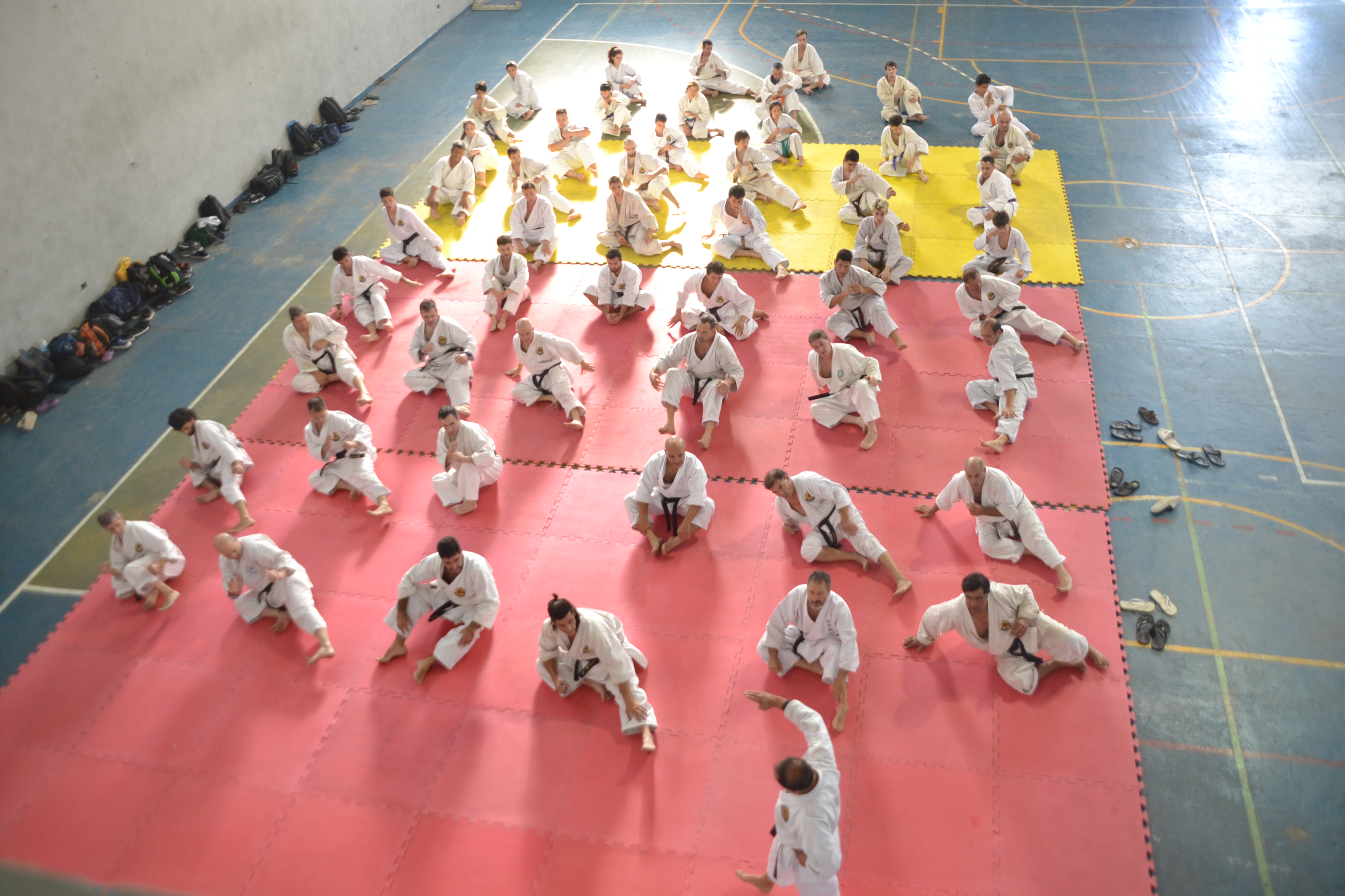 Este fin de semana se llevó a cabo en las instalaciones del Gimnasio Municipal “Mariano Freyre” un encuentro denominado “Okinawa Goyu-Riu Karate Do Kyokai” (OGKK), donde se encontraron diferentes escuelas y estilos de esta disciplina tanto de Berisso como de La Plata.