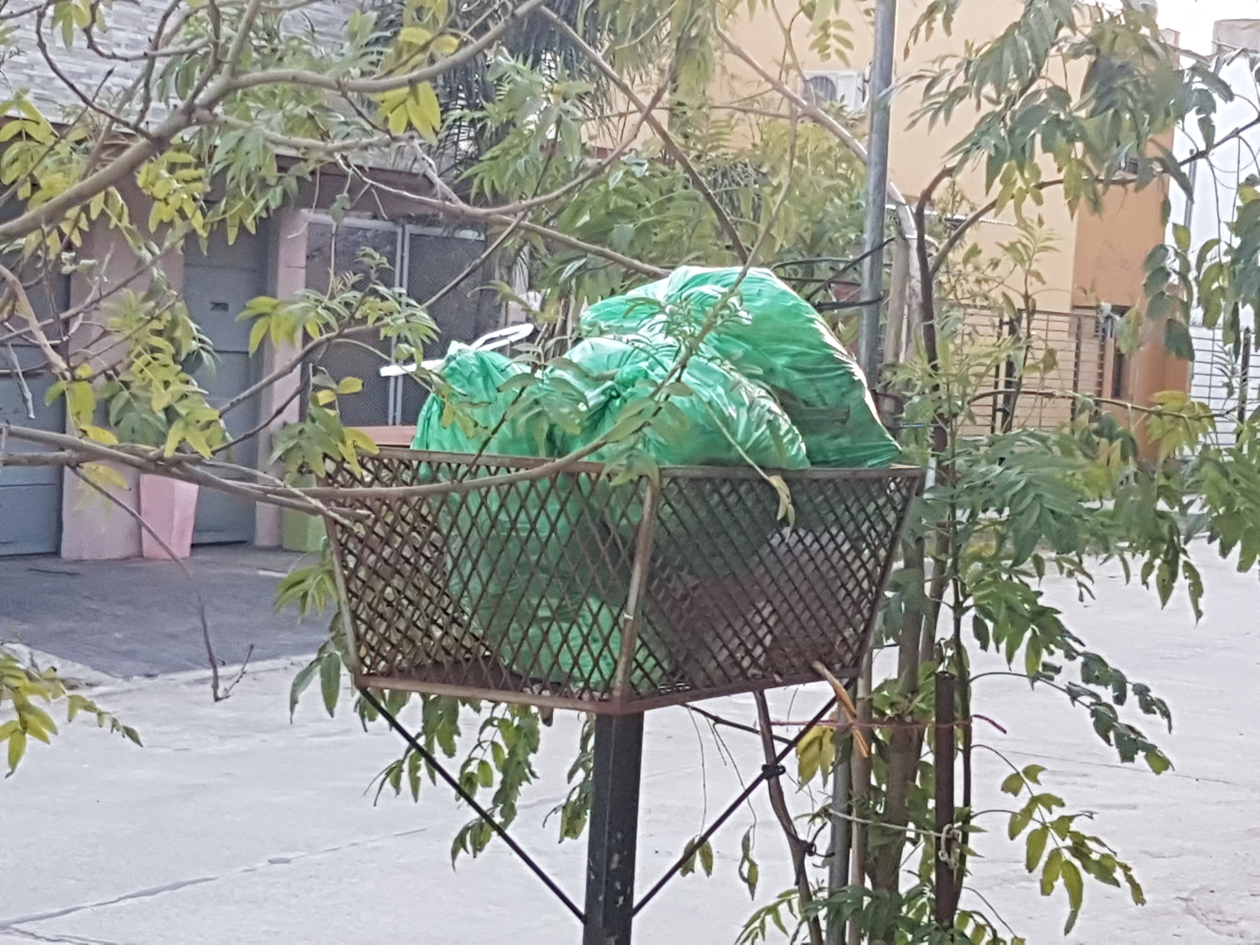 La ciudad se encuentra invadida de bolsas de residuos habituales en los canastos, las cuales no han sido retiradas debido a una medida gremial que llevan adelante trabajadores municipales de la recolección ante la falta de la ropa de trabajo. Este problema tiende a quedar zanjado en las próximas horas.