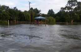 Alerta por crecida del río: Evacúan la Isla Paulino y en zonas de la ciudad hay desbordes