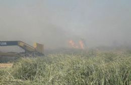 Impactante incendio de pastizales en Los Talas