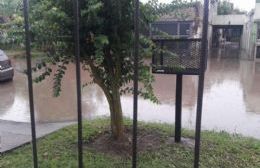 El estado de las calles de Berisso tras la intensa lluvia