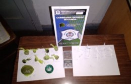 Capturan dealer en 36 y 174