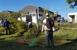 Escuela Agraria: Trabajos de desmalezamiento y la próxima semana comienza la obra del agua
