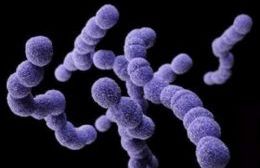Infecciones por la bacteria del estreptococo: Síntomas y medidas de prevención