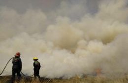 Bomberos berissenses colaboraron en un gran incendio en Punta Lara