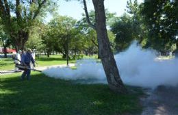 Informan tareas de fumigación en espacios públicos