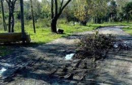 Calles intransitables en Villa San Carlos: "Pusimos ramas para que no pasen los camiones"