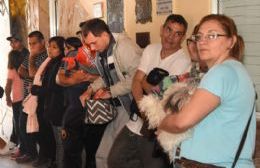 Jornada de castración y vacunación en Villa Nueva