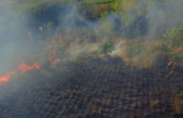 Intensa labor de los bomberos para combatir incendio forestal en el acceso a la Bagliardi