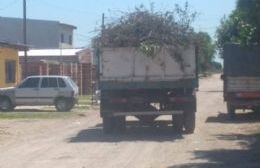 Camiones arrojan residuos generando un gran basural en Villa Progreso