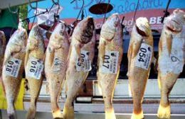 Crece la expectativa por la Fiesta Provincial Pesca de la Corvina