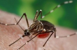 Medidas de prevención contra el dengue y coronavirus