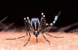 Seis nuevos casos sospechosos de COVID-19 y se confirmó un caso de dengue