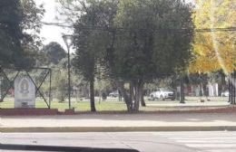 Vecinos denuncian "estacionamiento descarado" en el Parque Cívico