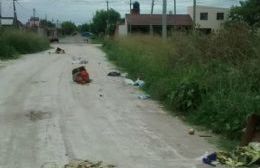 Vecinos indignados: Arrojaron verdura podrida en la vía pública y la calle amaneció en estado deplorable