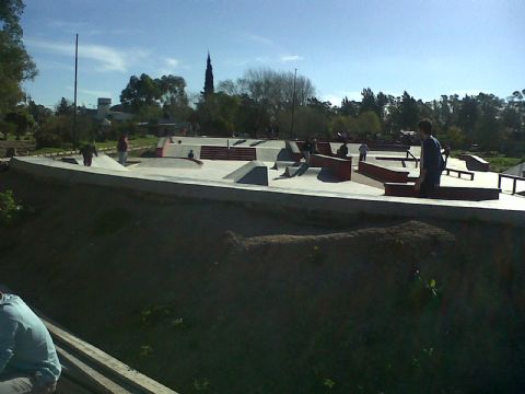 Torneo de skate en el Gimnasio Municipal