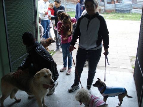 Continúa el  Programa de Control de Zoonosis