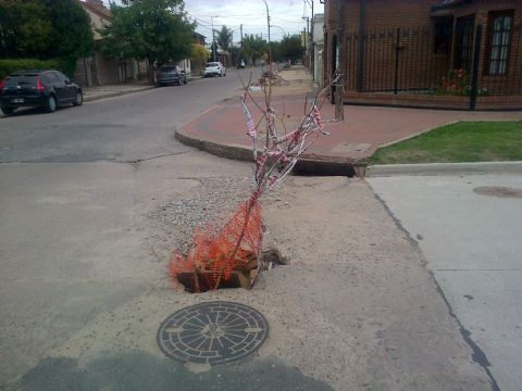 Precaria señalización de un pozo en plena vía pública