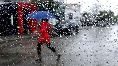 Información de EDELAP ante el alerta meteorológico