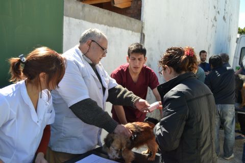 Positivo balance en el cierre del Programa de Control de Zoonosis