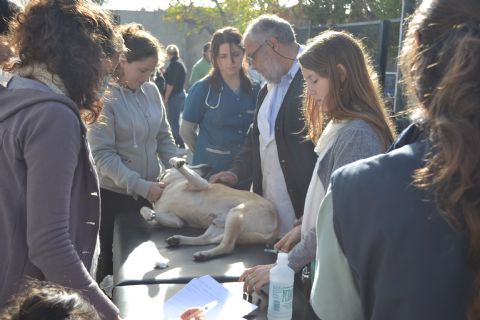 Continúa el  Programa de Control de Zoonosis
