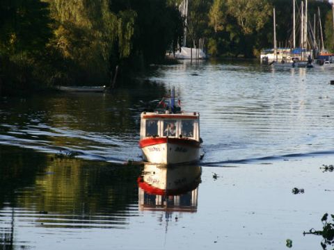 Paseo en lancha por el delta