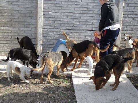 PRODEA pide colaboración a los vecinos, comercios y empresas de la zona