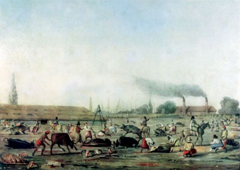 El origen de Berisso es una localización industrial