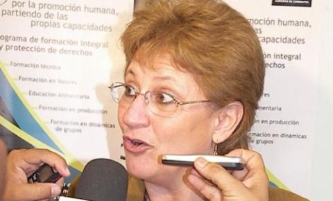 Fertilización Asistida: Chieno repasó las dos décadas de “proyectos de distintos bloques y características”