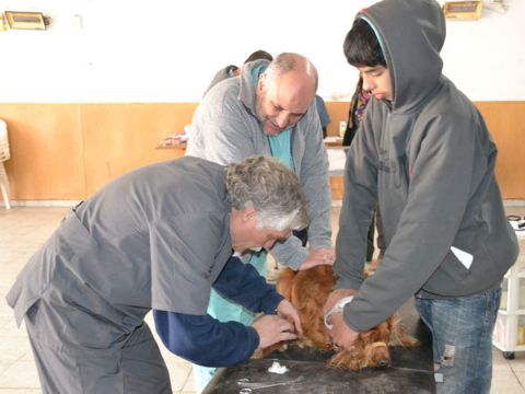 Vacunación antirrábica en Barrio Obrero