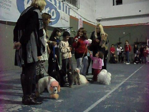 Quinta Expo Mascotas de Gestión Prodea, “un encuentro muy educativo e integrador”