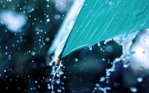 Alerta meteorológico: EDELAP informó sobre el servicio