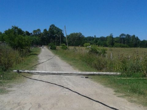 Intervención tras caída de poste de luz
