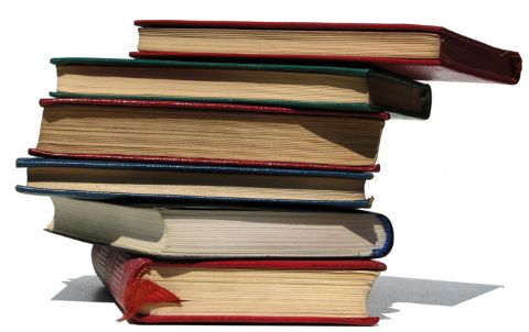 El bibliomóvil recorre los barrios de Berisso