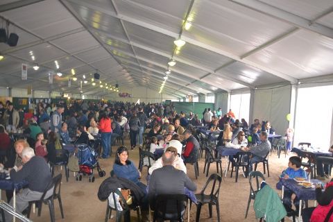 Fiesta del Vino de la Costa: Reflejo de la historia e identidad berissense