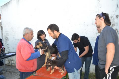 La comuna informó los resultados del Programa de Control de zoonosis