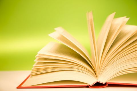 En el Día del Idioma Castellano, presentan novela de autora berissense
