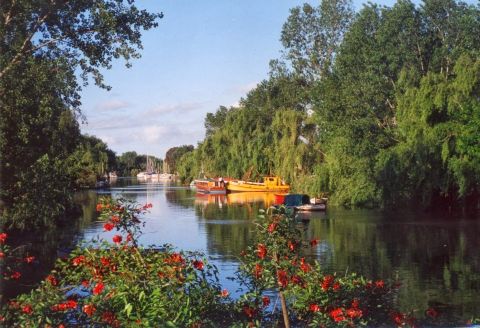 Paseos en lancha por el delta del Río Santiago