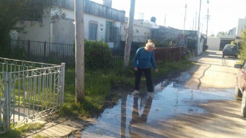 Vecina denuncia un caño de agua roto desde enero en 175 norte 32 y 33