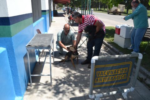 Continúa la campaña de vacunación antirrábica