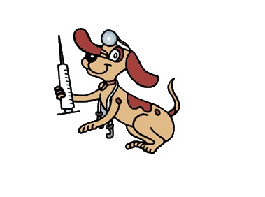 Vacunación antirrábica y control de zoonosis en la Unidad Sanitaria Nº 17