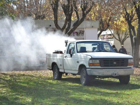 Acciones de desratización y fumigación en los barrios
