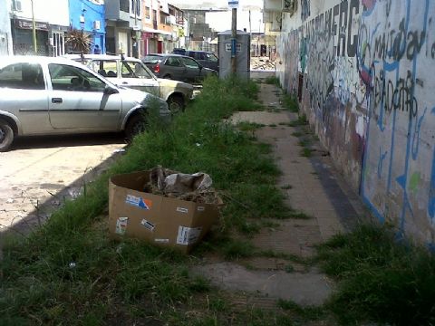 Reclamo de vecinos de calle 167 por basura acumulada