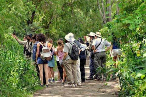 Caminatas en la Isla Paulino, una escapada que revela sus encantos
