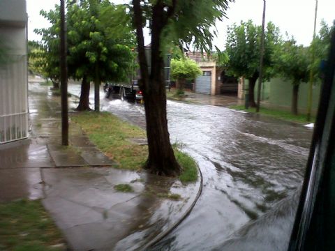 Calles anegadas y rama caída producto de la lluvia en la ciudad