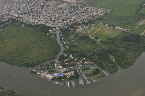 Preocupa nuevamente la deforestación en sectores del Monte