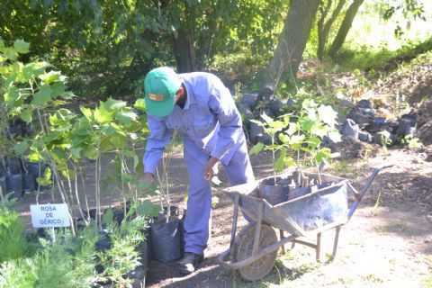 Trabajos de reacondicionamiento en el Vivero Municipal