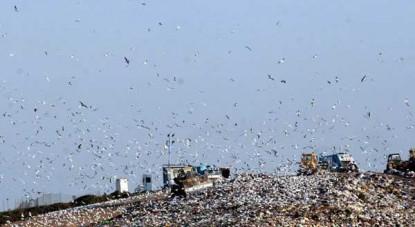 Emisión de gases contaminantes provocan olor nauseabundo en Punta Lara y Tolosa